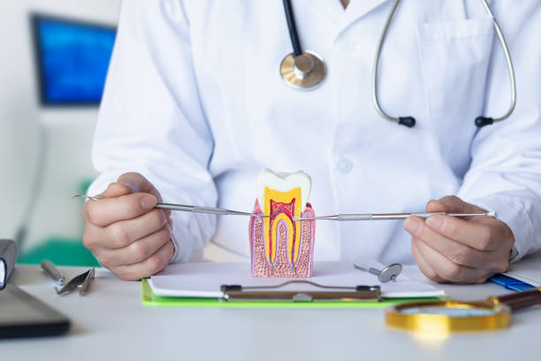Best Emergency Dental Care for Broken or Chipped Teeth in Reedspt, OR